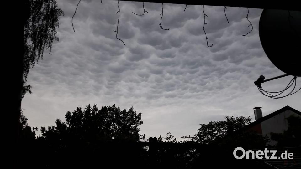 Farben des Sommers Thilo Josef Mörtelbauer