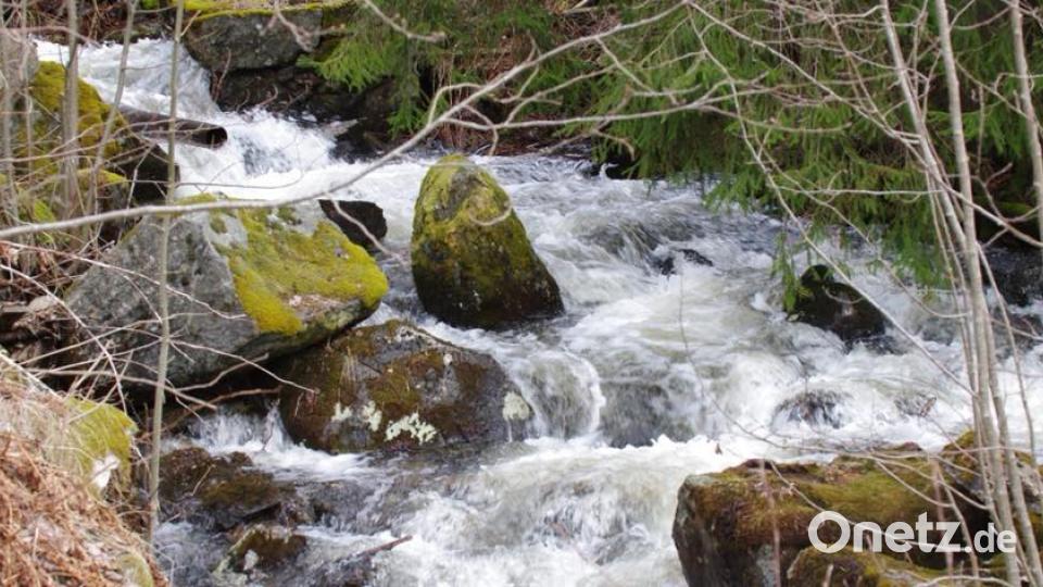 Farben des Sommers Karlheinz Götz