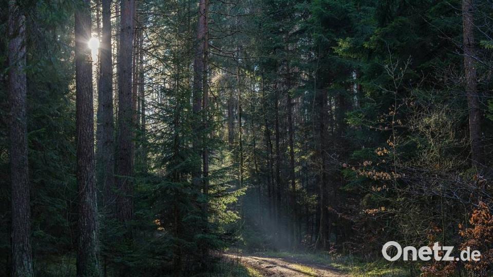 Die Farben des Sommers Tobias Luber