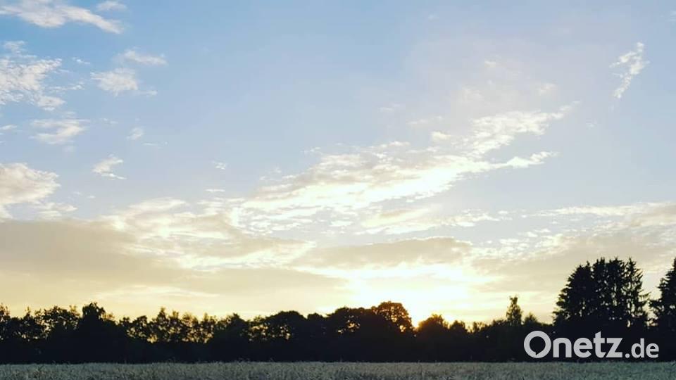 Die Farben des Sommers. Franzi Schultes