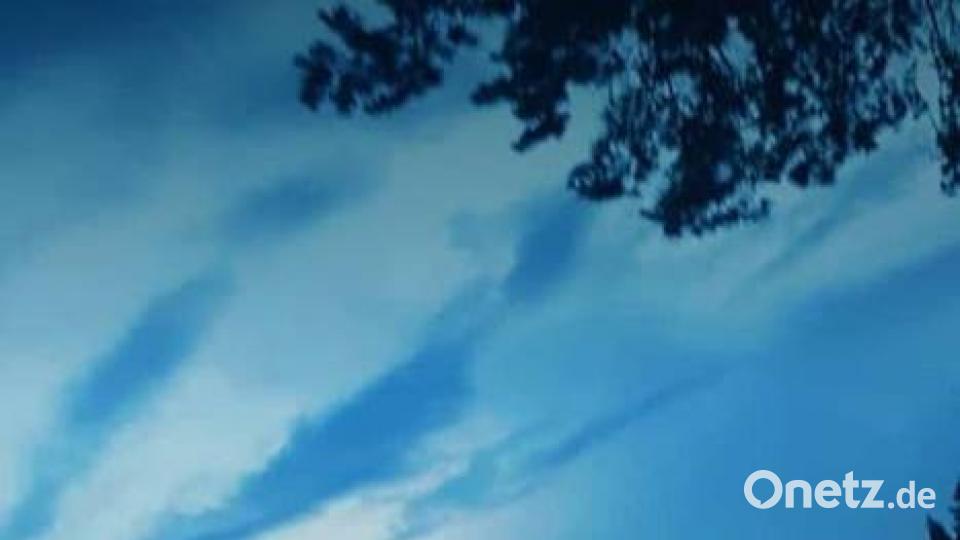 Farben des Sommers Denise Nettl