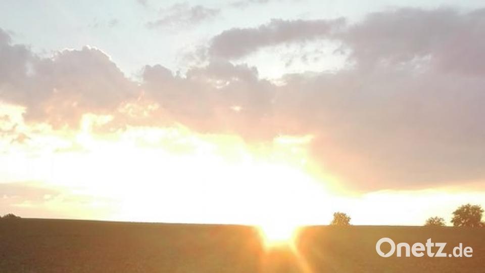 Farben des Sommers Marion Roidl