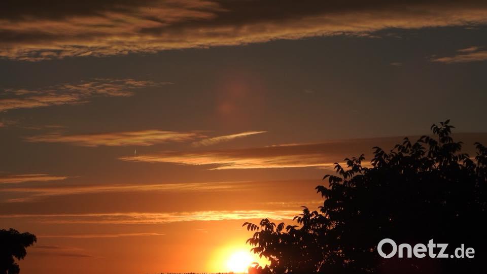 Die Farben des Sommers Nikki Enderer