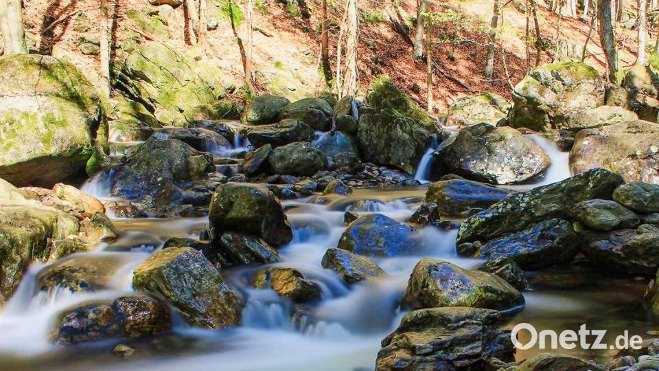 Farben des Sommers Christian Geitl