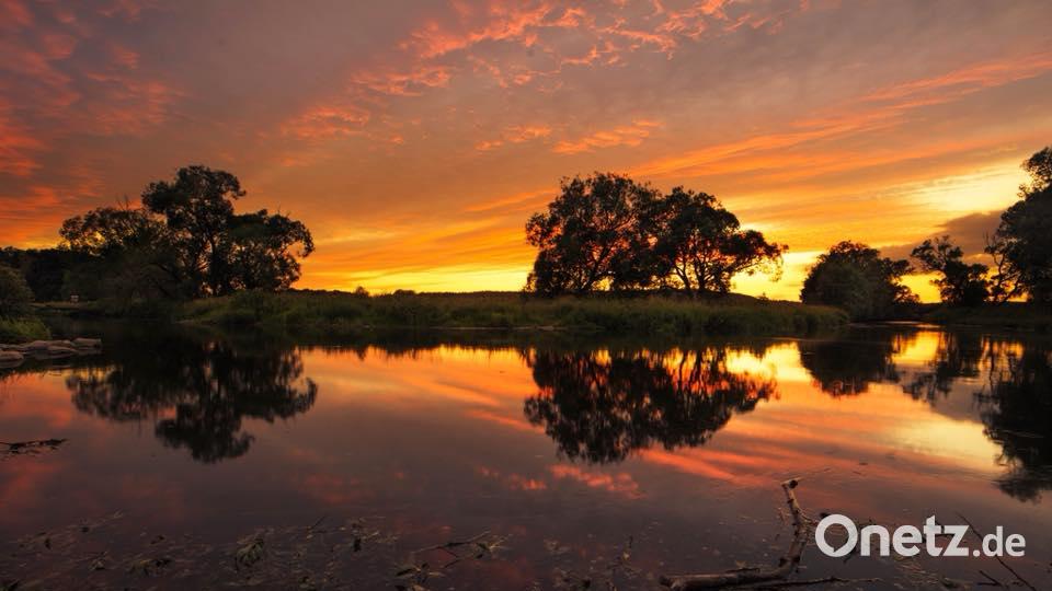 Die Farben des Sommers Lena Held