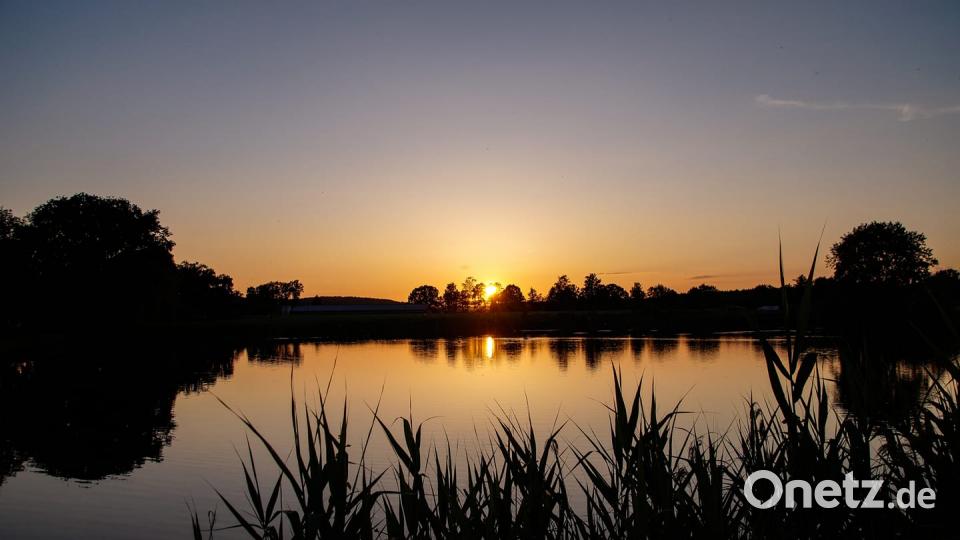 Farben des Sommers Steff Knorr