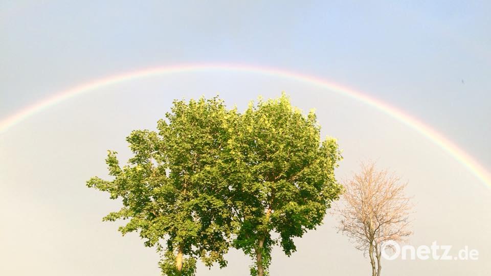 Die Farben des Sommers. Pia Bauriedel