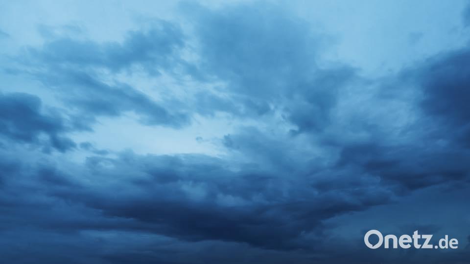 Die Farben des Sommers. Thomas Richter