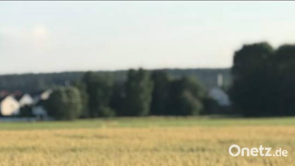 Die Farben des Sommers. Petra Keikuth