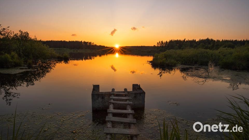 Die Farben des Sommers Lena Held