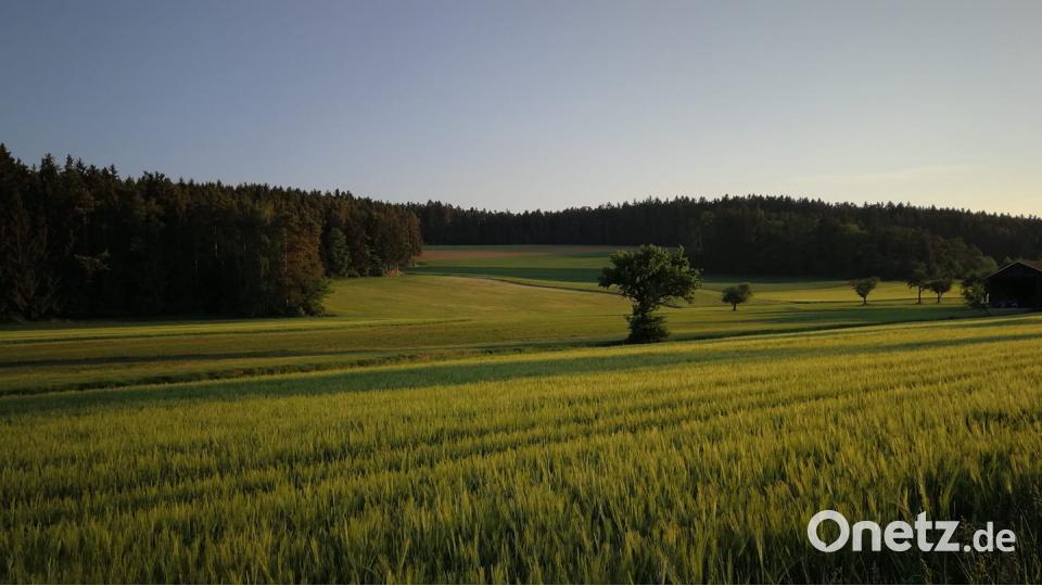 Die Farben des Sommers Tobias Luber