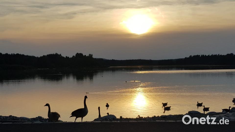 Die Farben des Sommers Tanja Schwab