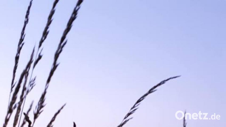 Farben des Sommers Kerstin Baumgartner