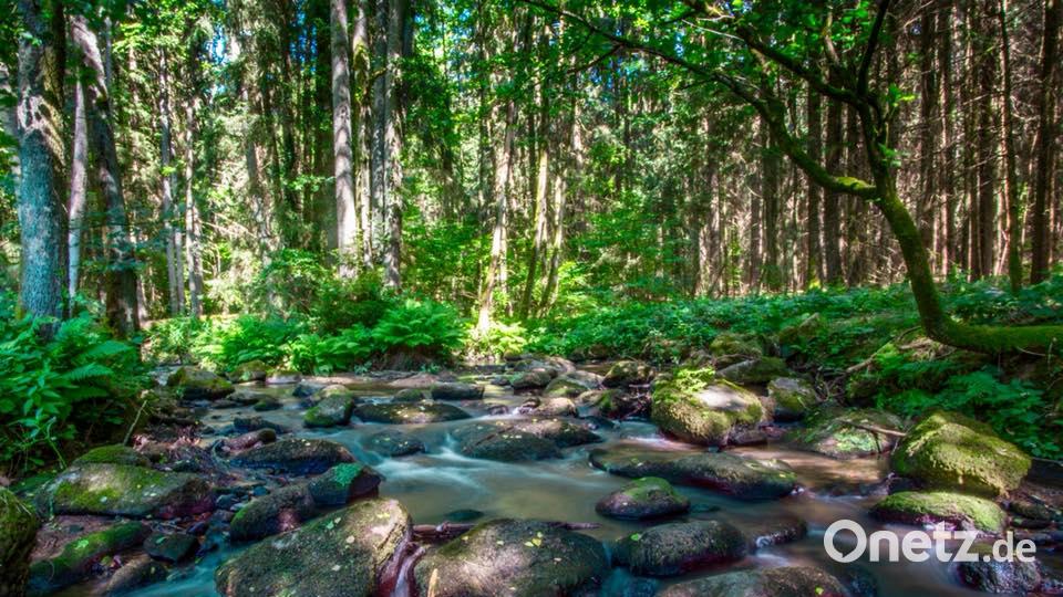 Farben des Sommers Pascal Fischer