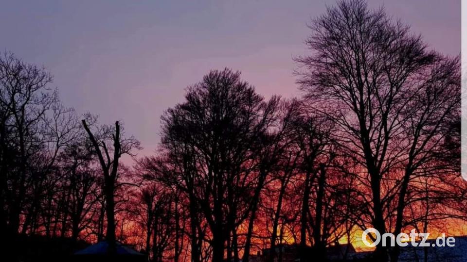 Farben des Sommers Thorsten von Schmetternich