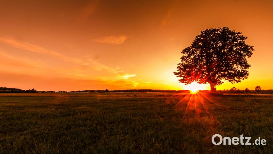 Farben des Sommers Bastian Götz