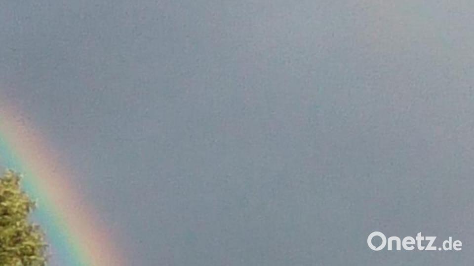 Farben des Sommers Christine Kral