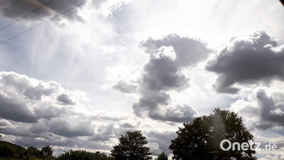 Die Farben des Sommers Eckert Lena