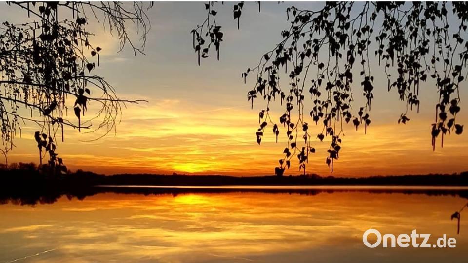 Die Farben des Sommers Steffi Klaus