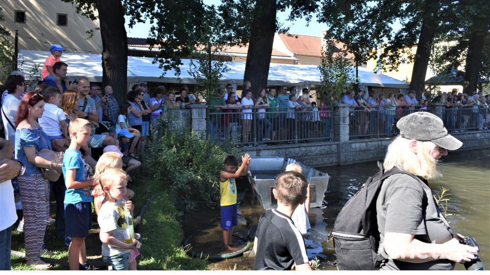 Viele Besucher ließen sich das Spektakel nicht entgehen. rgr