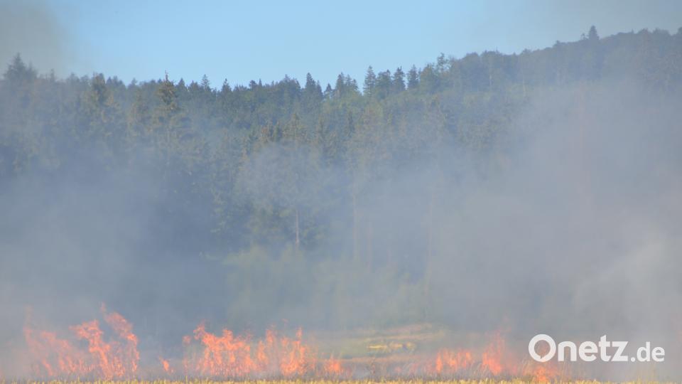 Erneut rücken die Feuerwehrleute aus und müssen einen Brand auf einem Acker löschen. dob