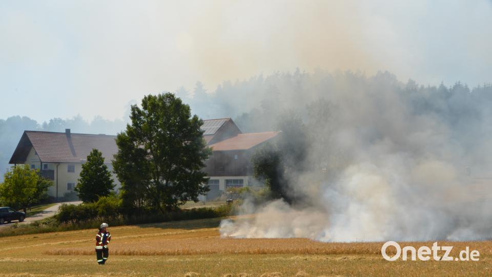 Die Flammen kamen der Bebauung bedrohlich nahe. dob