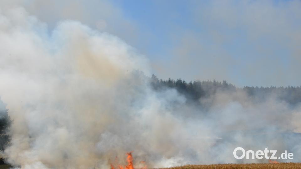 Ackerfläche brennt dob