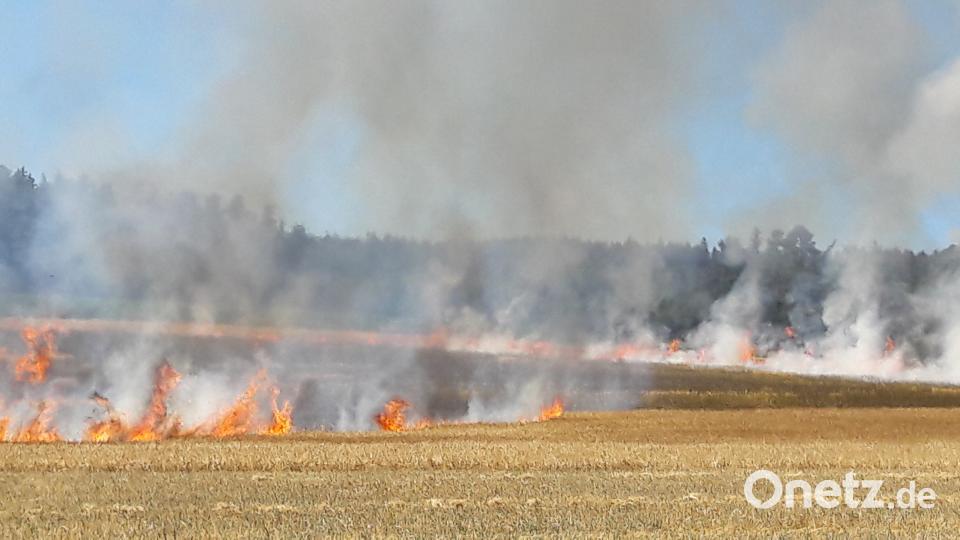 Beim Dreschen gerät ein Gerstenfeld bei Vohenstrauß in Brand. dob