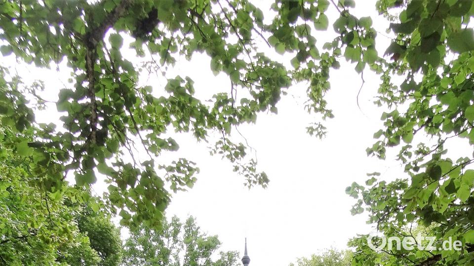 Radltour zum Annaberg: In etwa zweieinhalb Stunden müsste die Strecke rund um Sulzbach-Rosenberg machbar sein. Robert Stammler