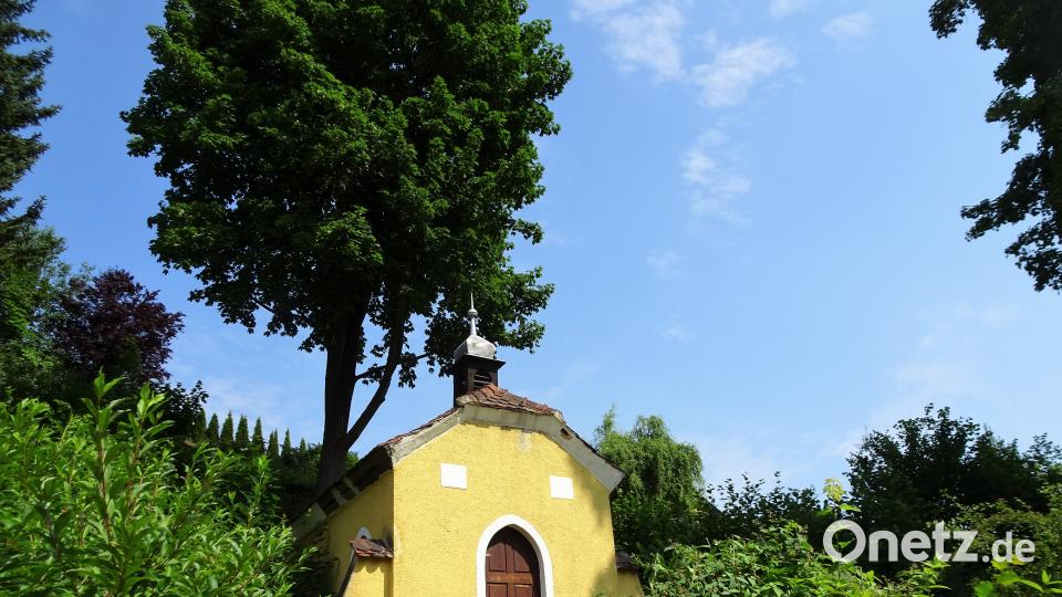 Radltour zum Annaberg: In etwa zweieinhalb Stunden müsste die Strecke rund um Sulzbach-Rosenberg machbar sein. Robert Stammler