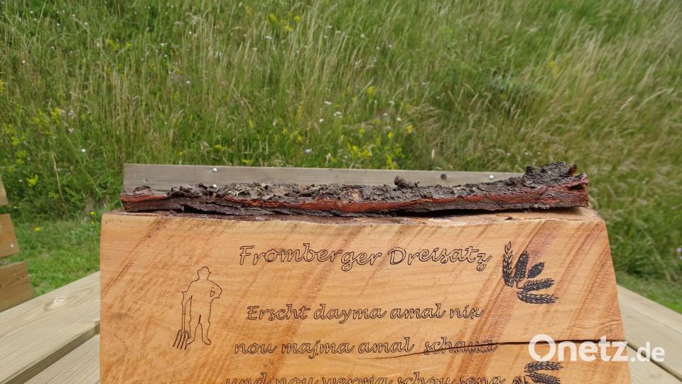 Radltour zum Annaberg: In etwa zweieinhalb Stunden müsste die Strecke rund um Sulzbach-Rosenberg machbar sein. Robert Stammler