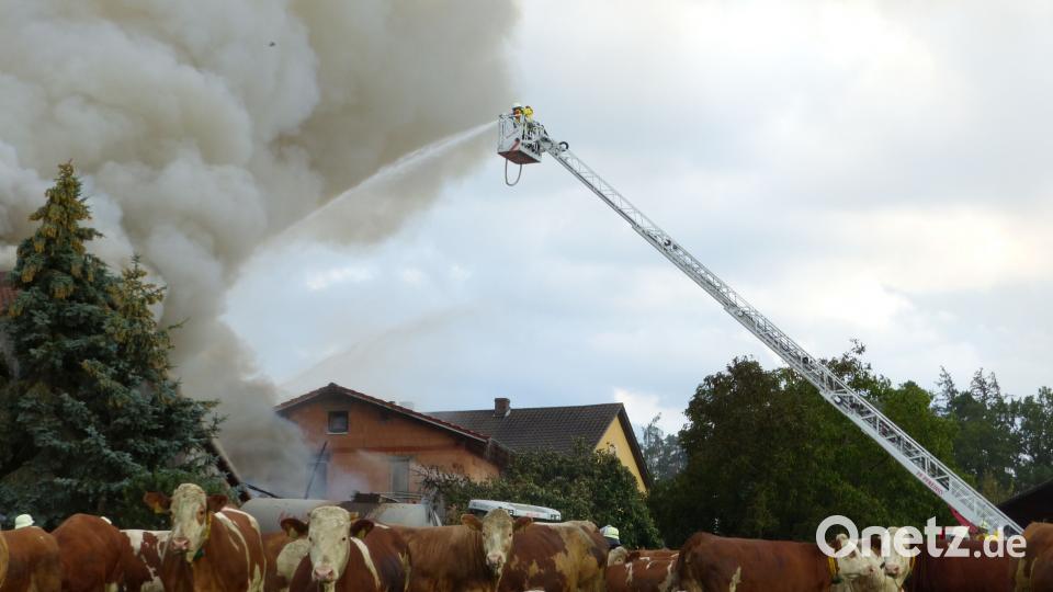 Die Kühe wurden ins Freie getrieben. Mit der Drehleiter wurde der Brand von oben bekämpft. Völkl