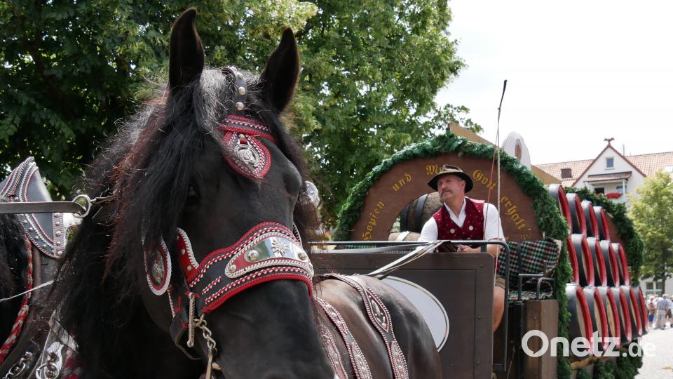 Am gestrigen Sonntag waren etwa 2000 Aktive von 140 Gruppen beim Festzug in Wiesau dabei. TR