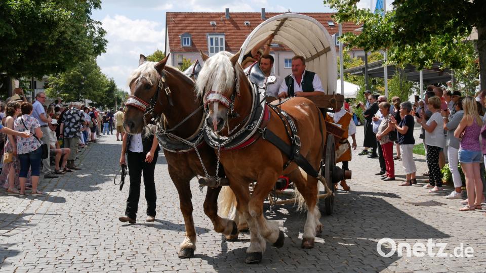 Am gestrigen Sonntag waren etwa 2000 Aktive von 140 Gruppen beim Festzug in Wiesau dabei. TR