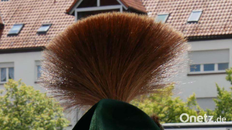 Am gestrigen Sonntag waren etwa 2000 Aktive von 140 Gruppen beim Festzug in Wiesau dabei. TR