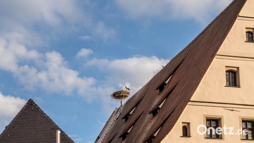 Bildergalerie zur Kunst- und Rotlicht-Veranstaltung 2018 pml