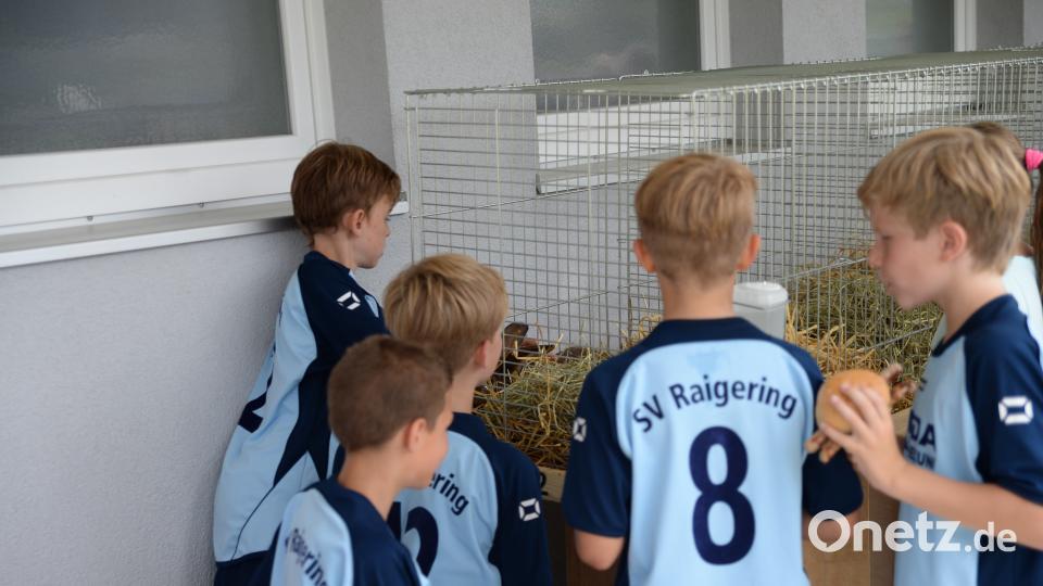 Großes Interesse der kleinen SVR Kicker an den Hasen. brü