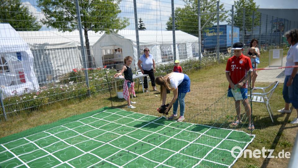 Beim Hühnerbingo. brü