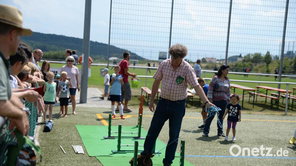 Hüpf, Hase, hüpf. brü