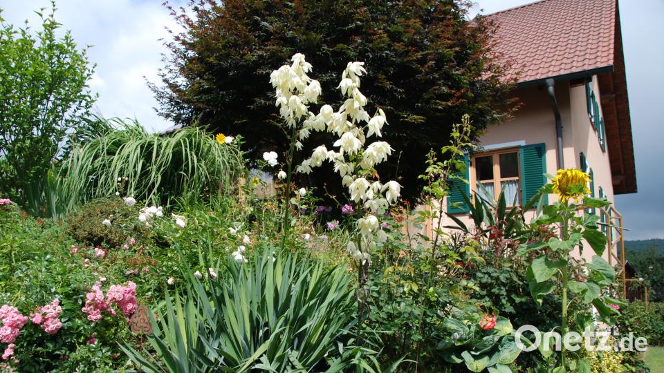 Garten der Familie Blab ptr