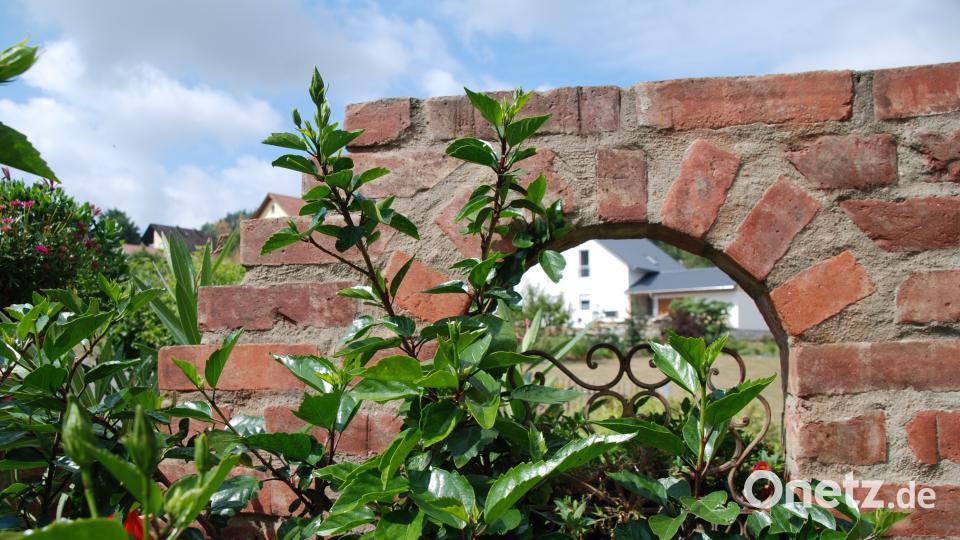 Garten der Familie Blab ptr