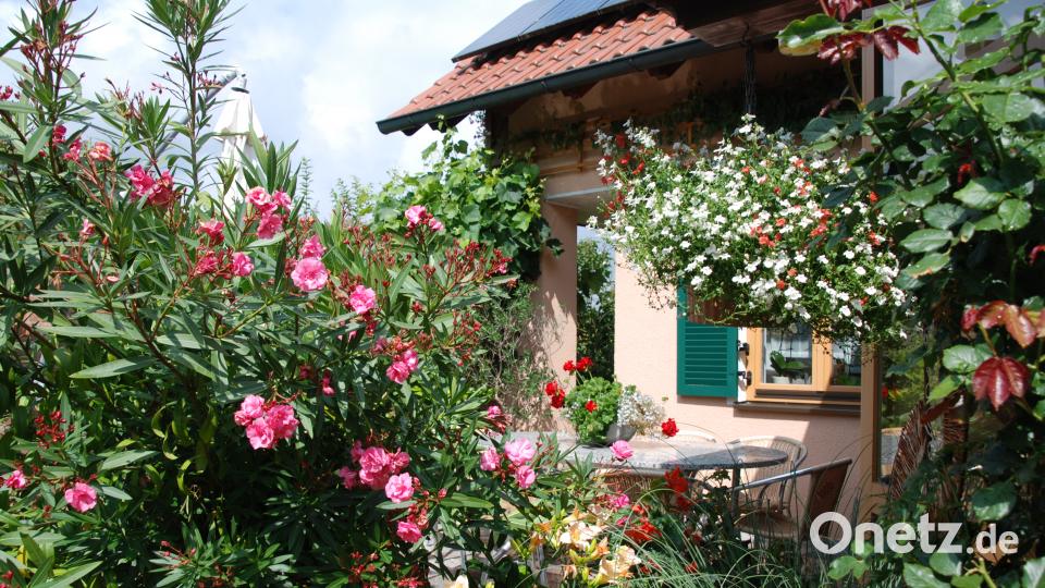 Garten der Familie Blab ptr