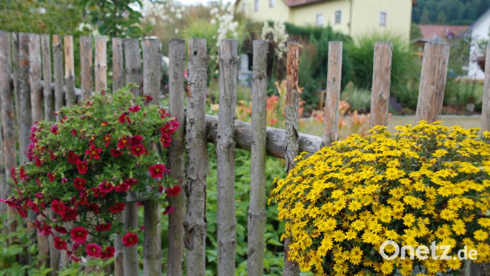 Garten der Familie Blab ptr