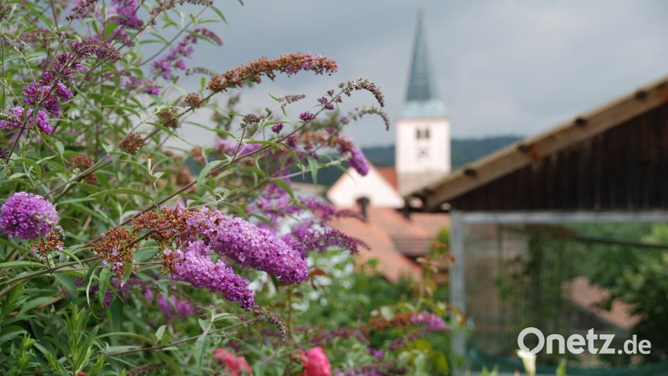 Garten der Familie Blab ptr