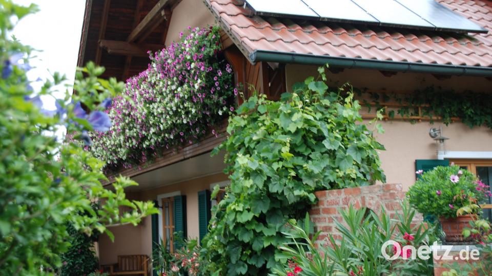 Garten der Familie Blab ptr