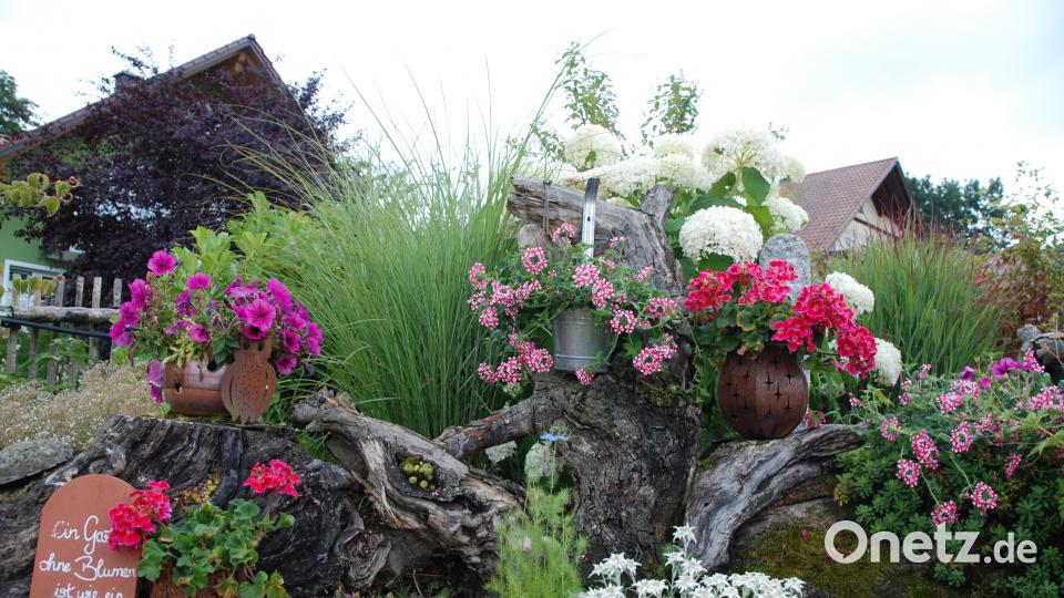 Garten der Familie Blab ptr