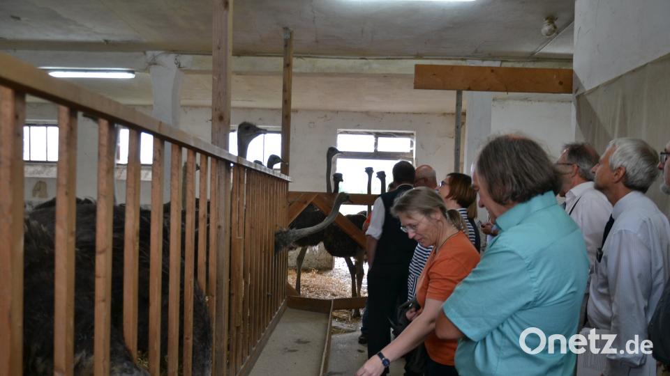 Besuch Fachjury LGS pz
