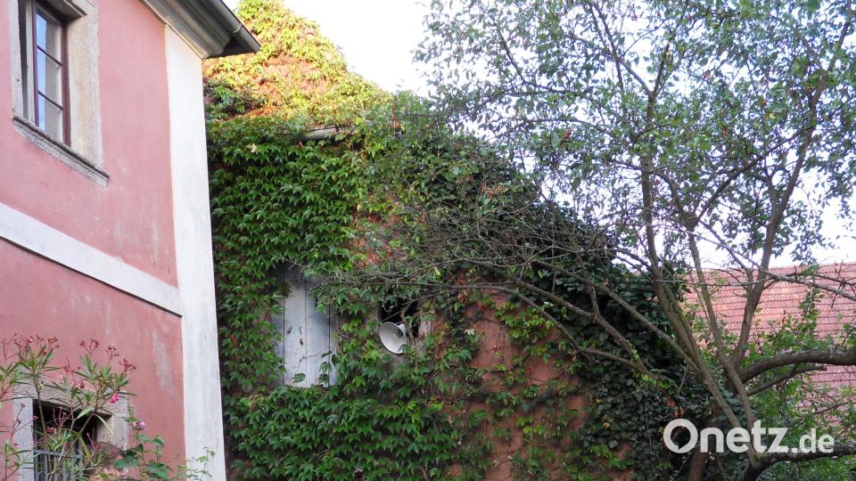 Die Musiker im Pfarrgarten. hbl