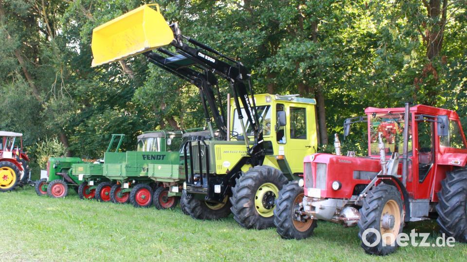 Die vielen Bulldogs, vom Oldtimer bis zum neuesten Traktor, die von den vielen Besuchern bestaunt wurden. lk