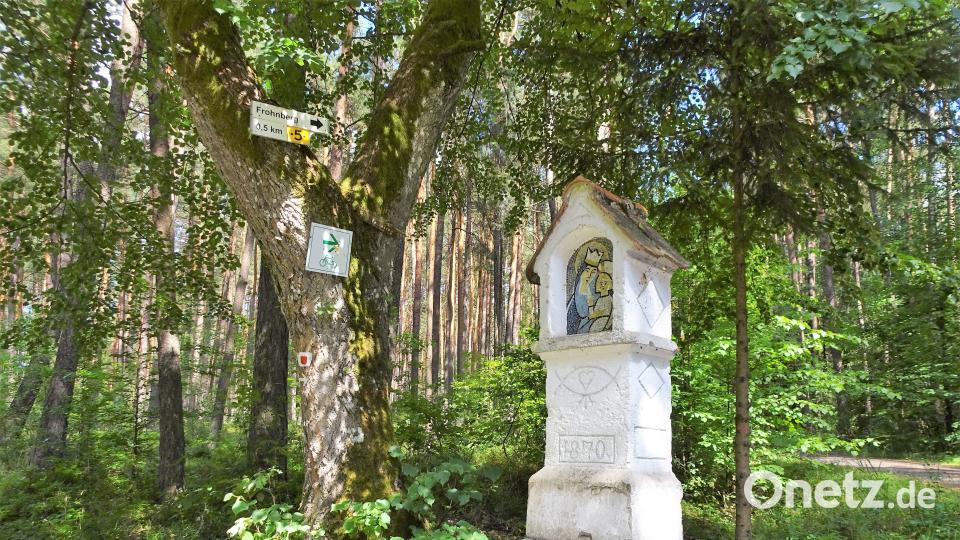 Mit dem Radl zum Bergfest: Rund um Hahnbach zum Frohnberg. Robert Stammler